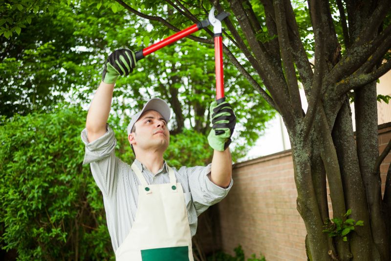 Shrub Pruning detail