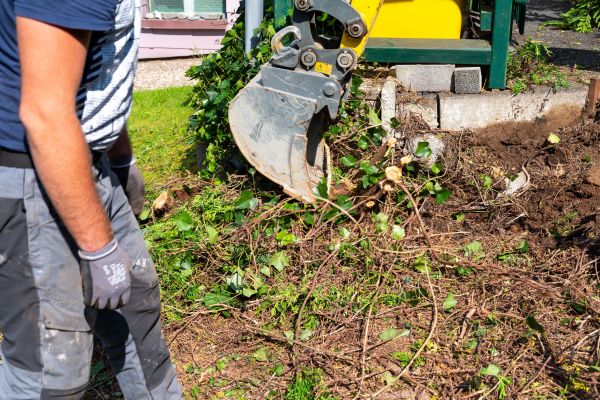 Hedge Removal Service in Citrus Heights