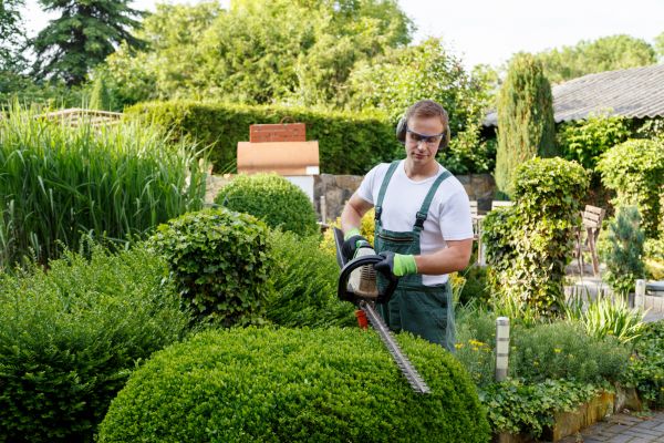 Shrubs Trimming in Citrus Heights